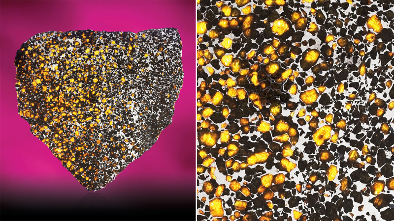 Illustration for article titled 30 Starry Wonders Hiding Inside of Dull Meteorites